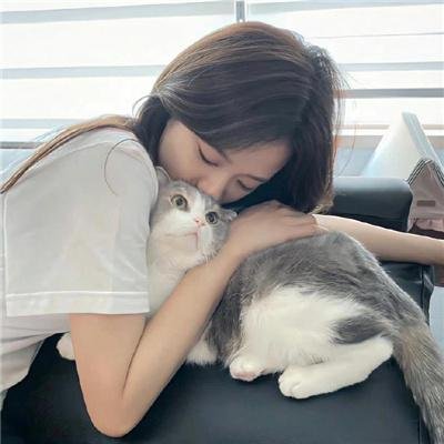 虚构推理第二季